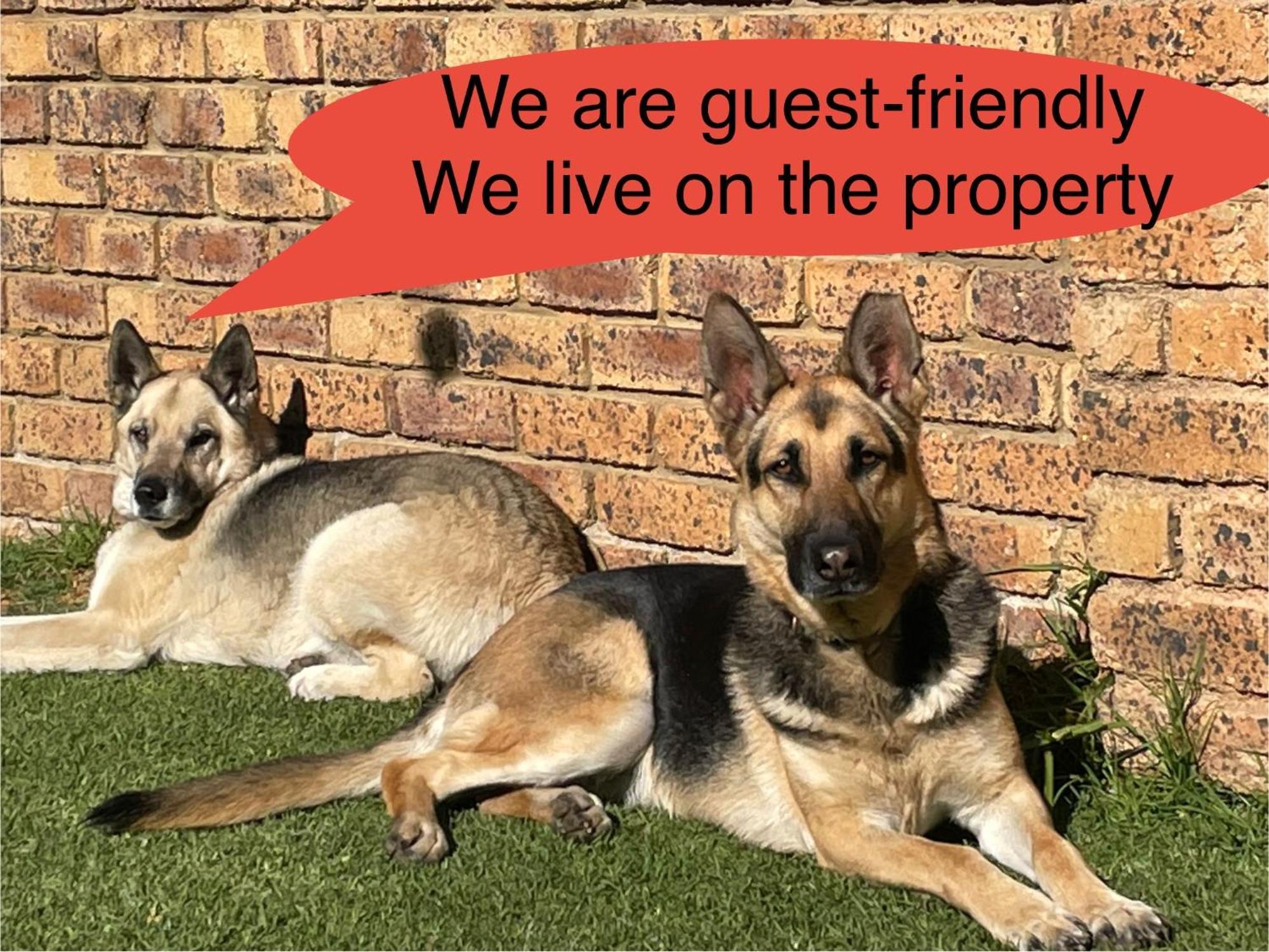Celtis Lane Guest House Boksburg Extérieur photo